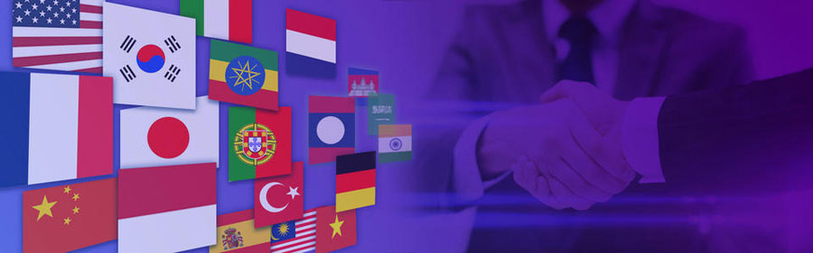 淄博小语种网站建设  第2张