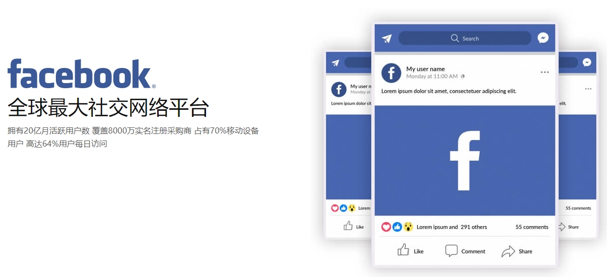 淄博海外社交媒体营销  第1张